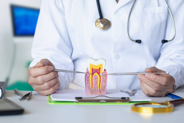 Best Emergency Dental Surgery in Cherry Hill, VA